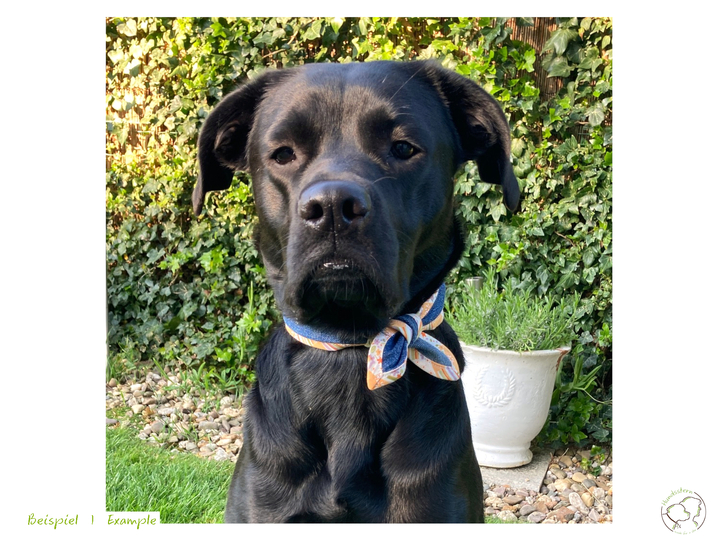 SOSCHA dog bandana & scarf or hair band for owner. Sewing pattern