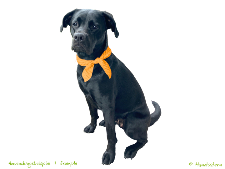 SOSCHA neckerchief for dogs & scarf or hair band for owner. Sewing pattern