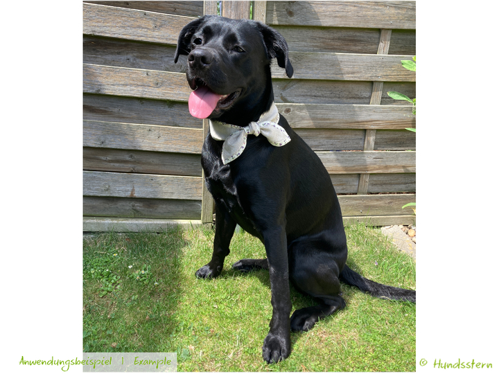 SOSCHA neckerchief for dogs & scarf or hair band for owner. Sewing pattern