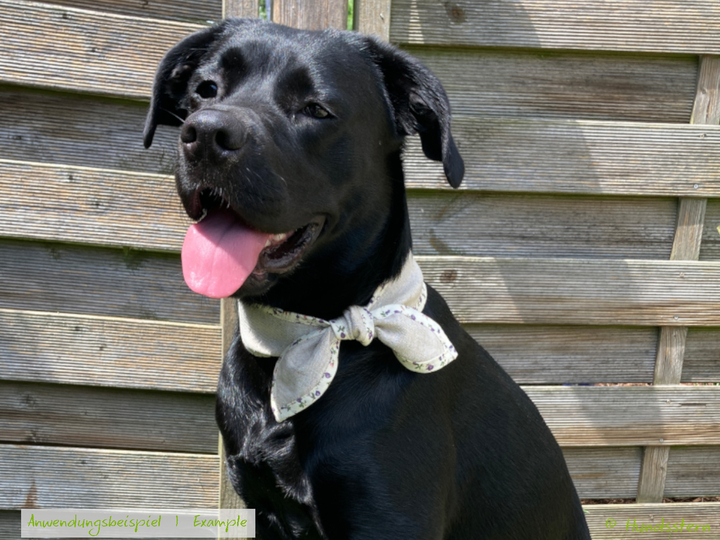 SOSCHA neckerchief for dogs & scarf or hair band for owner. Sewing pattern