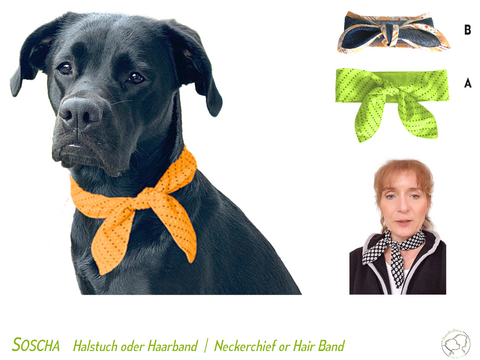 SOSCHA Hunde-Halstuch & Halstuch/Haarband für Frauchen. Anleitung + Schnitt