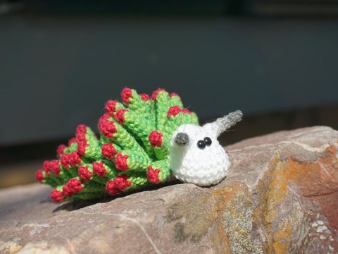 Anleitung 3in1: Blatt-Schaf-Schnecke Costasiella kurushimae