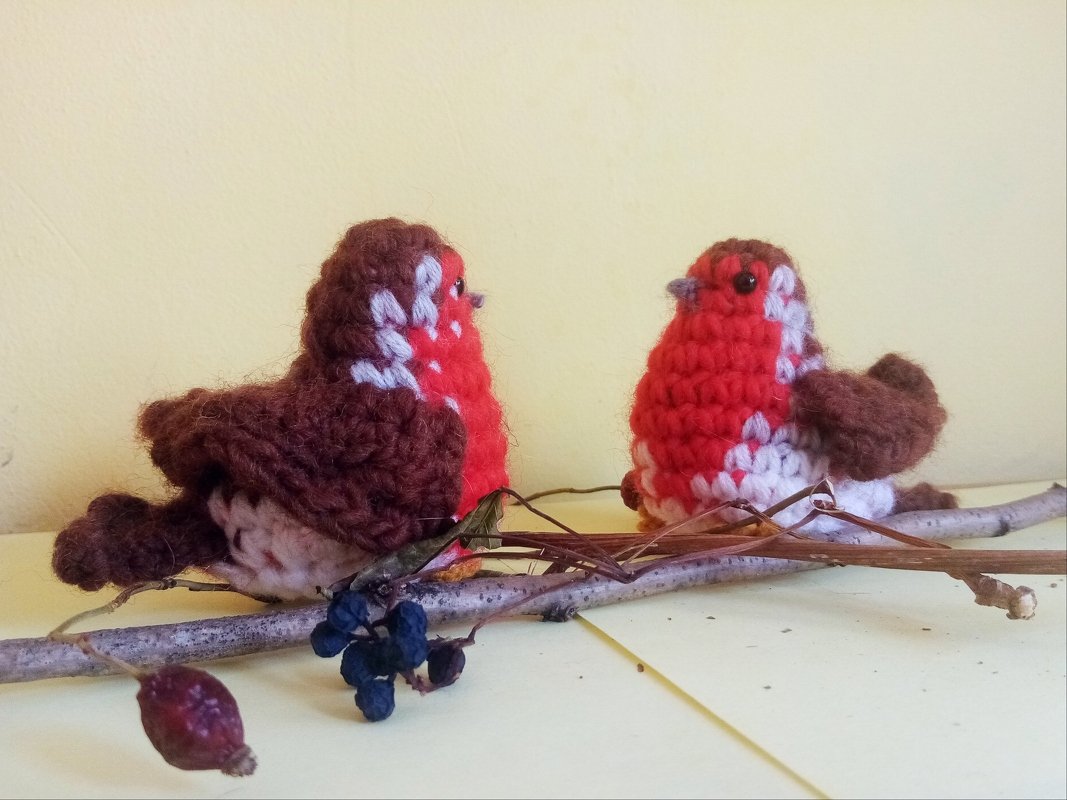 European Robin. Crochet pattern - Image 3