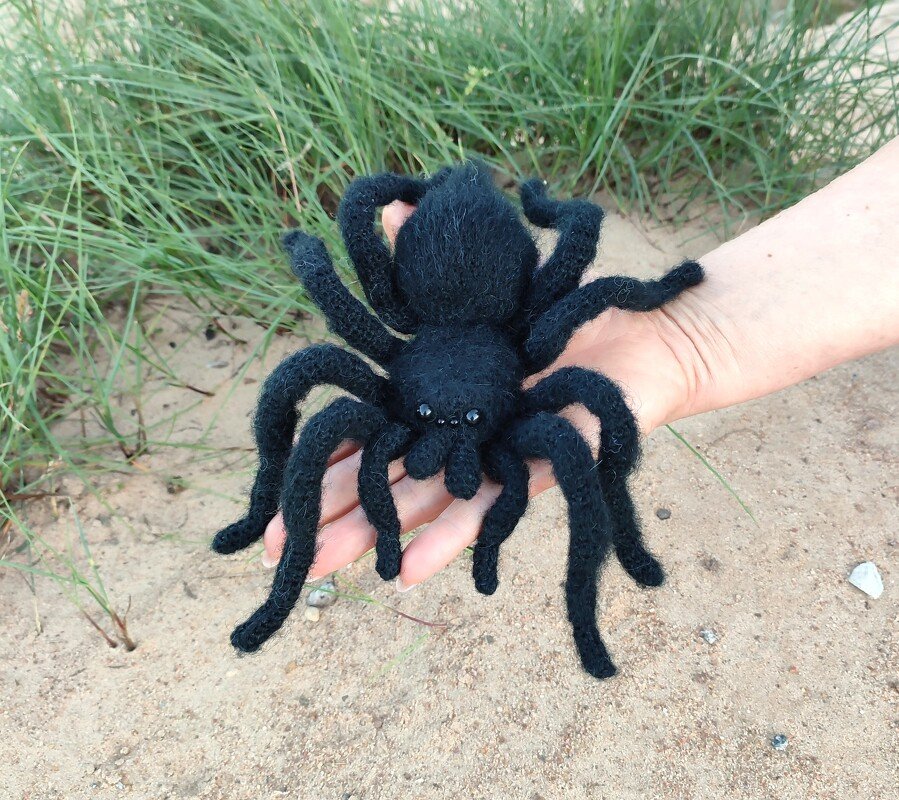 Crochet spider. Colored Tarantulas. Amigurumi Spiders. Crochet  pattern - Image 5