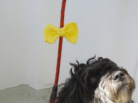 Crochet Pattern For The Yellow Ribbon For Dog´s