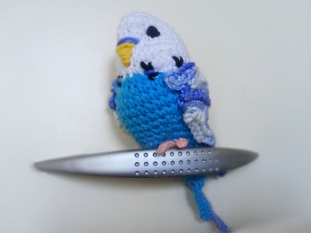 Hand-crocheted blue and white amigurumi budgie perched on a metal handle