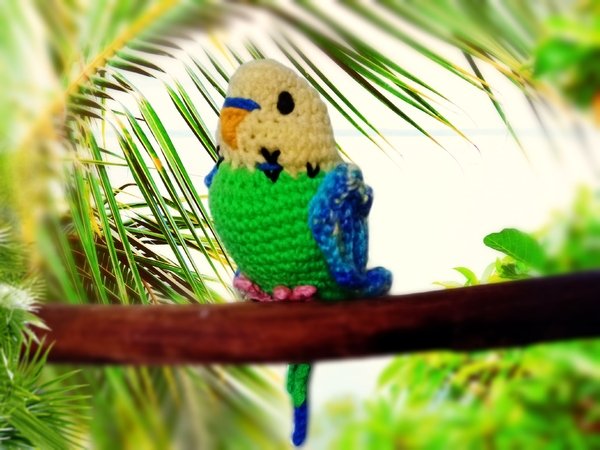 Budgie * Parrot. Crochet pattern