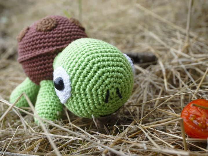 Häkelanleitung für die Schildkröte Susi