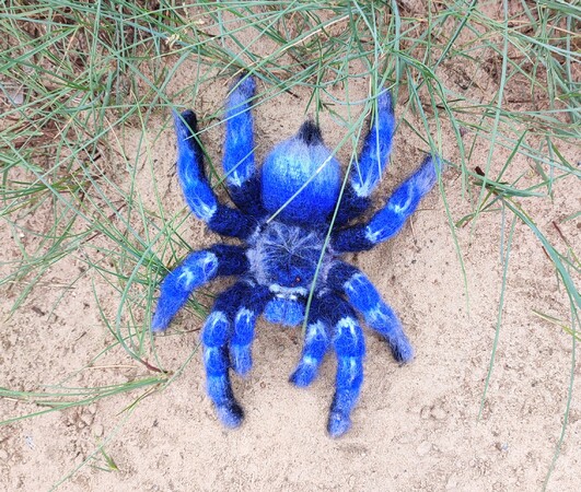 Wschespinne Klein Fake Spinne Aus Gummi  Knstliche Vogelspinne Fr  Scherze & Streiche  15x9cm