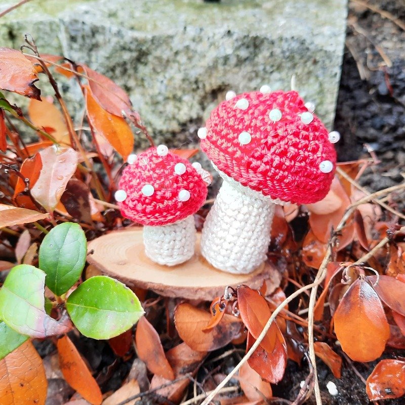 Häkelanleitung "Fliegenpilz-Duo"