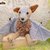 Flughund oder Fledermaus Fladimir, Häkelanleitung von Dadade