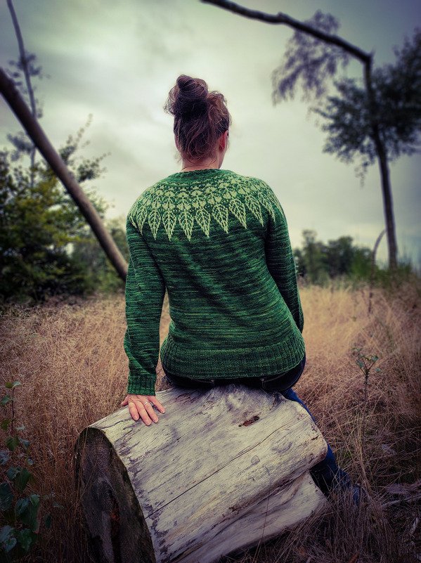 Rundpassenpullover Herbststurm