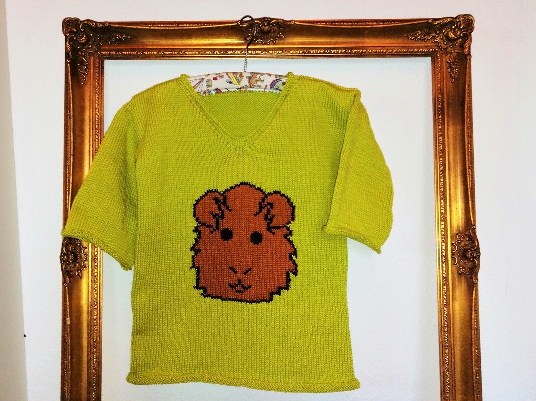 Meerschweinchen- und Hamster-Pulli für Kinder