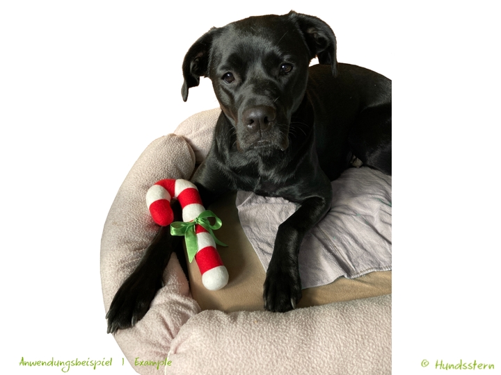 CANDY CANE Christmas decoration or dog toy. Sewing pattern