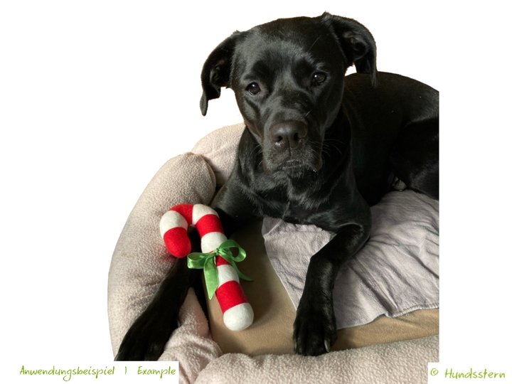 CANDY CANE, Zuckerstange Weihnachtsdeko, Hundespielzeug Anleitung + Schnitt