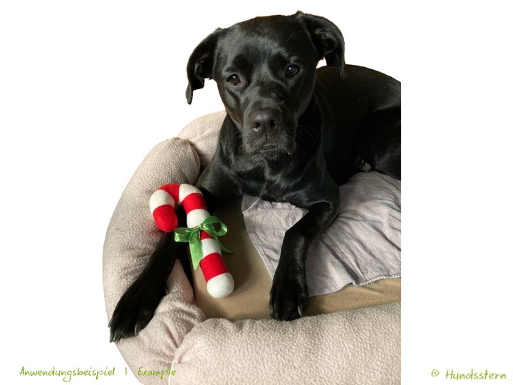 CANDY CANE, Zuckerstange Weihnachtsdeko, Hundespielzeug Anleitung + Schnitt