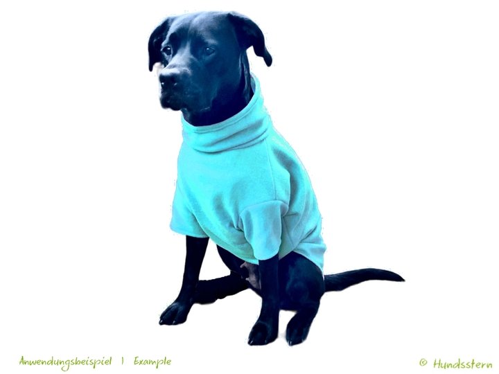 GLENNAN Hundepullover, Gr. XS–XXL, Anleitung+Schnitt