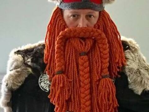 Viking Beard