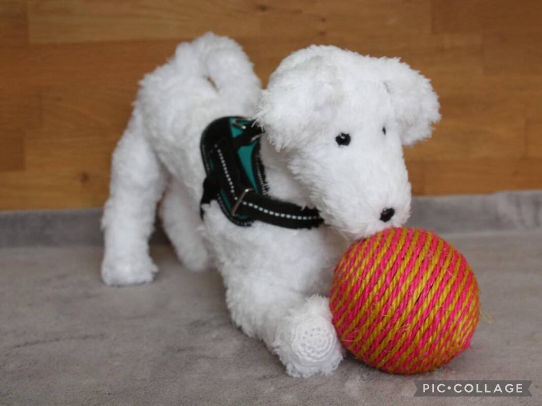 Boyke (Hond / Bobby / Kuifje)