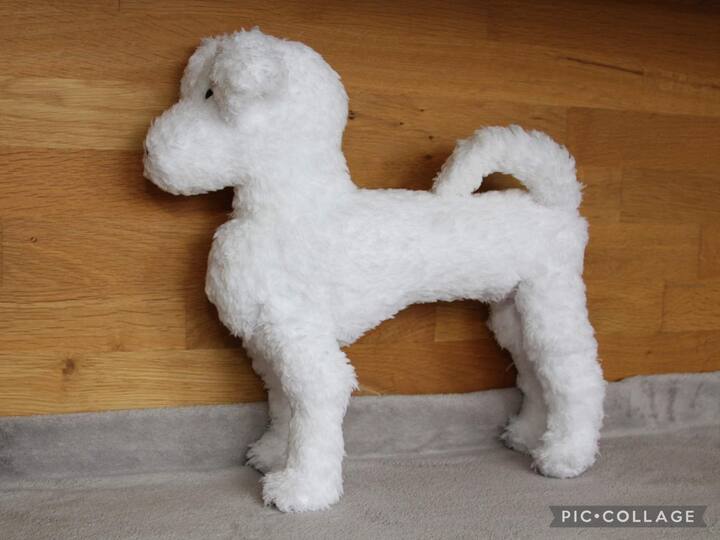 Boyke (Hond / Bobby / Kuifje)