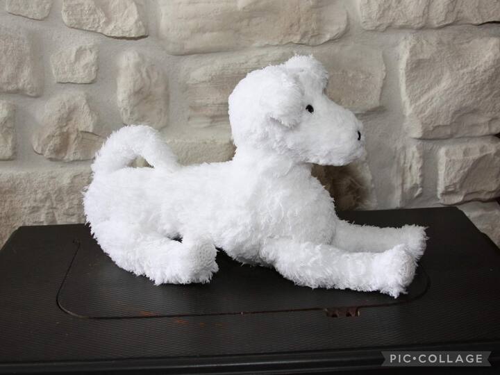 Boyke (Hond / Bobby / Kuifje)