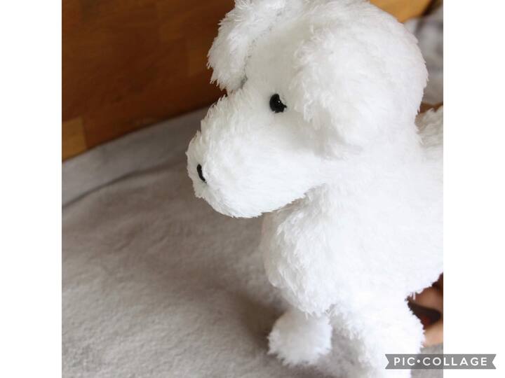 Boyke (Hond / Bobby / Kuifje)