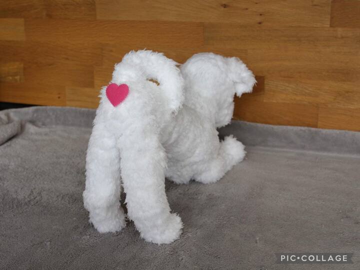 Boyke (Hond / Bobby / Kuifje)