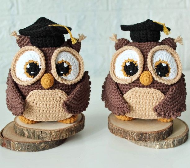 Crochet graduation owl