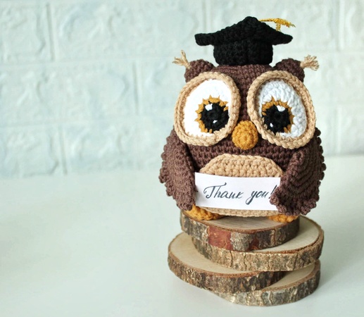 Crochet graduation owl