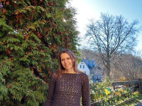 Häkelanleitung Pullover "up and down"