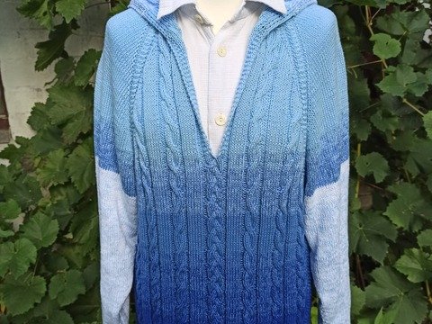 RVO-Hoodie "Schweinekälte" bis Größe XXXXL