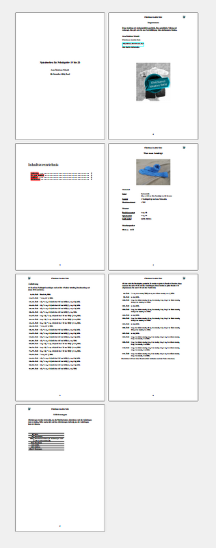 Anleitung für Spiralsocken für Schuhgrösse 19 bis 25 - Bild 2