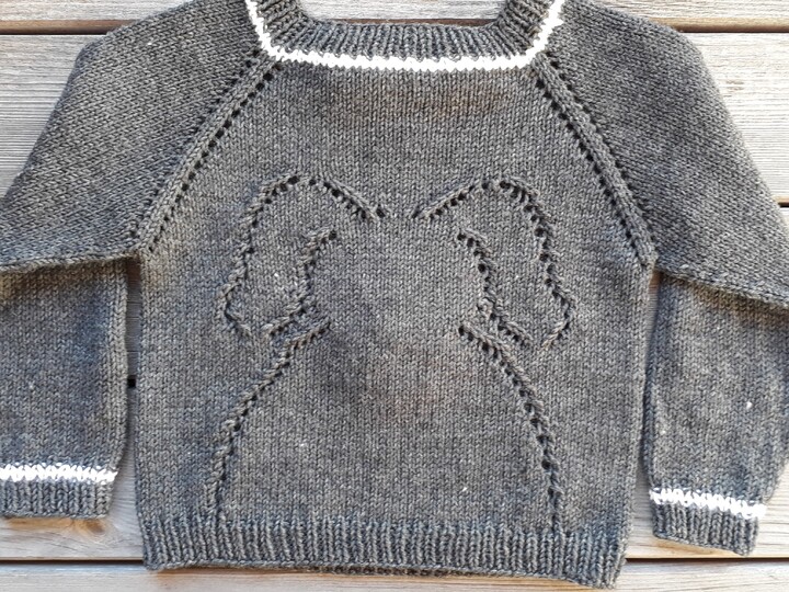 Strickanleitung Pullover "Hund"