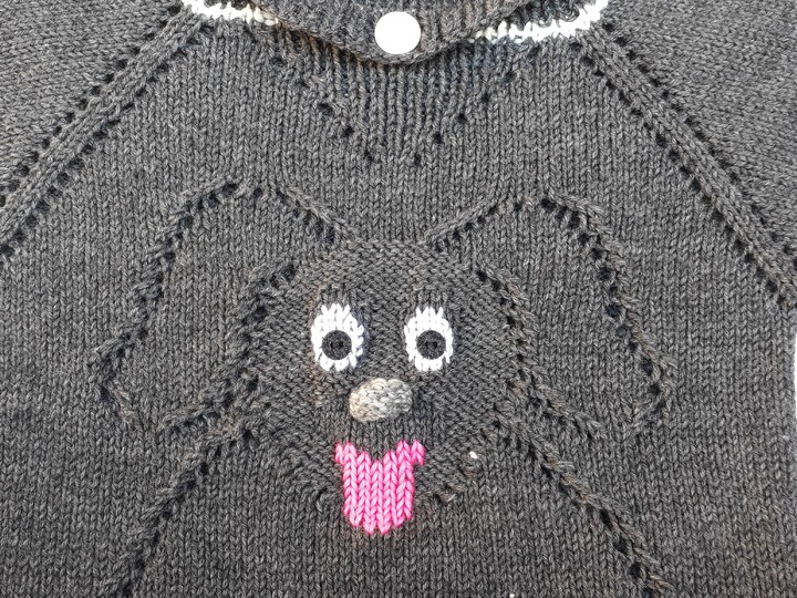 Strickanleitung Pullover "Hund"