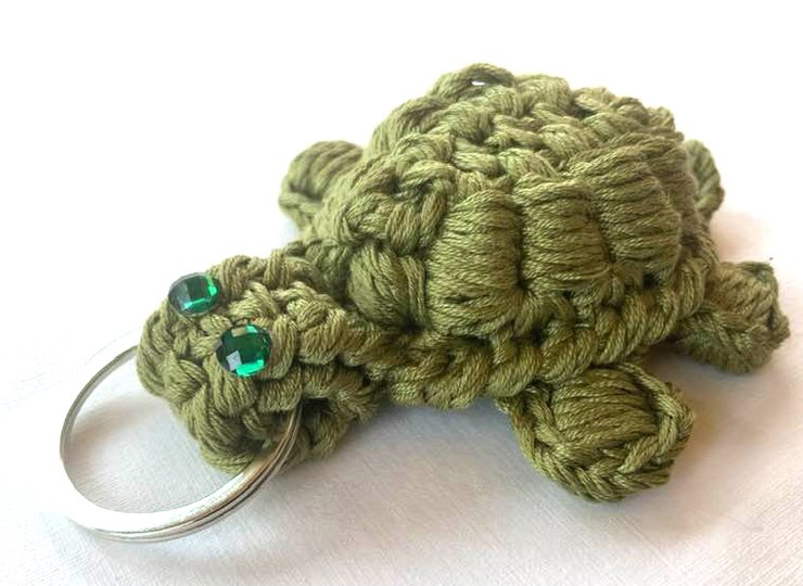 Kleine, kompakte Schildkröte