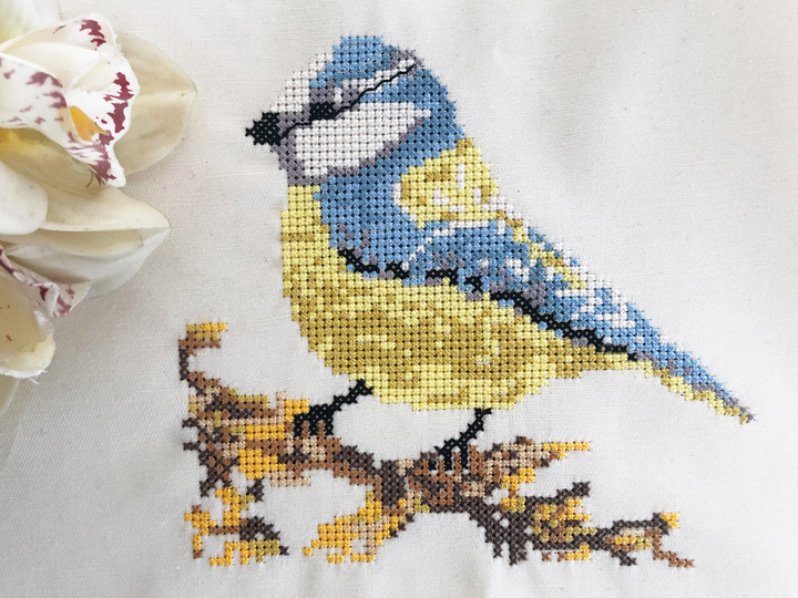 Stickvorlage: Blaumeise sticken im Kreuzstich