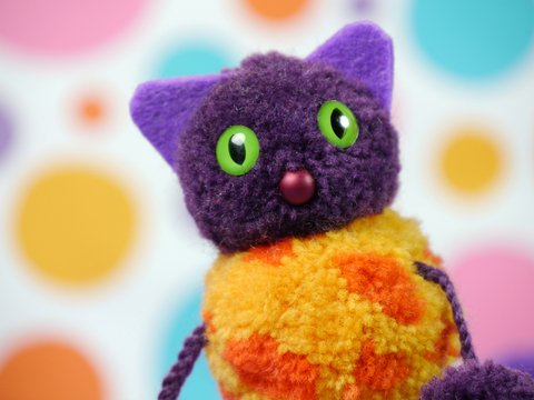 Schnurrige Pompon-Katzen