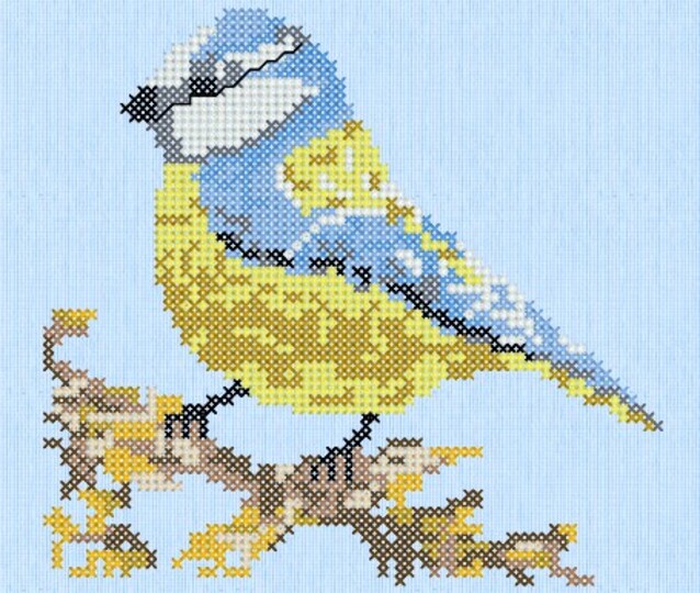 Stickdatei: Blaumeise sticken im Kreuzstich