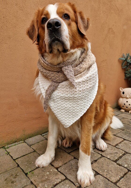 Mad Meditation - flaches unisex Tuch *anfängertauglich* - Bild 5