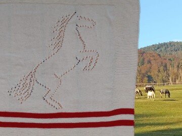 Knitting pattern blanket "horse"