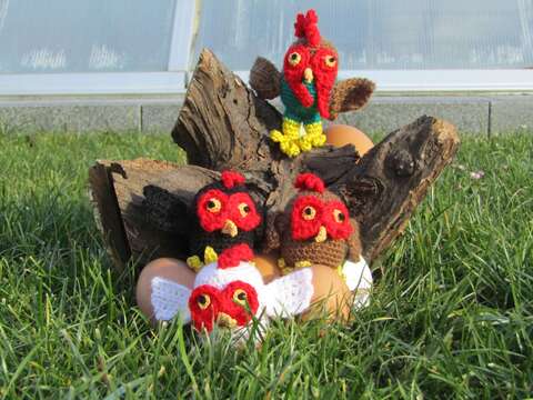 Häkelanleitung - Huhn und Hahn