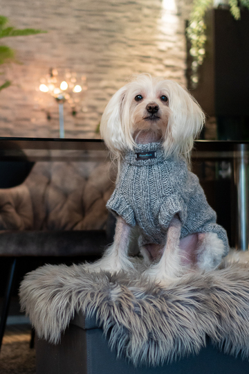 Strickanleitung - Aijos Basic Sweater Hundepullover