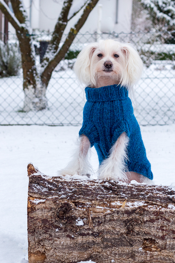 Strickanleitung - Aijos Basic Sweater Hundepullover