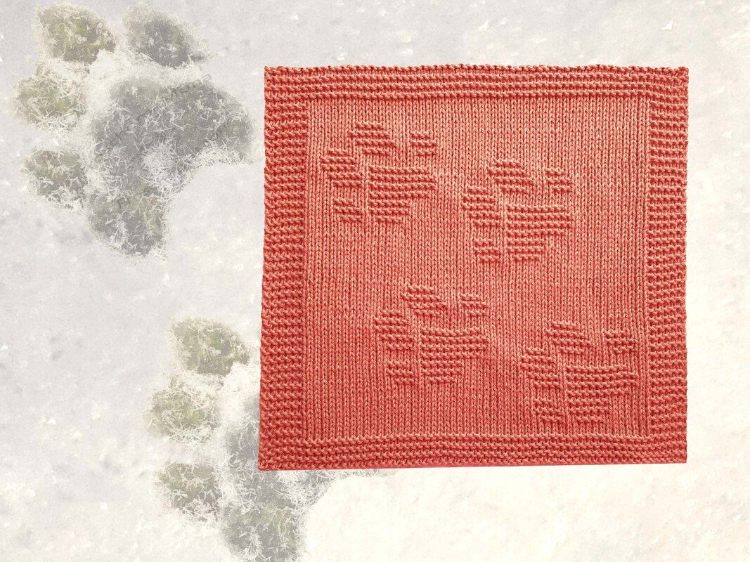 Quadratisches korallenrotes Stricktuch mit eingestrickten Pfotenabdrücken auf hellem Hintergrund.