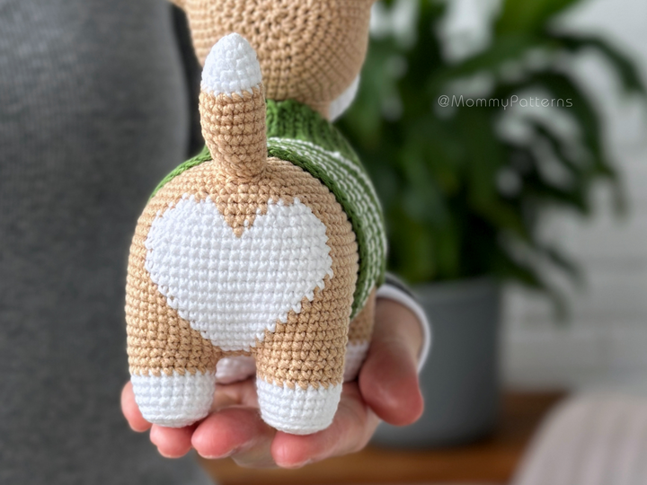 Corgi Hündchen