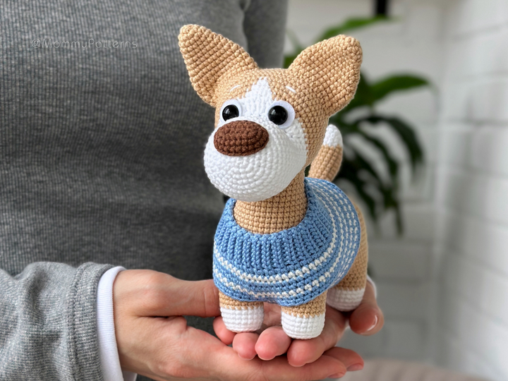Dog Corgi
