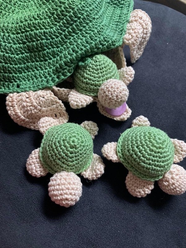 Schildkröte - Memory - Bild 2