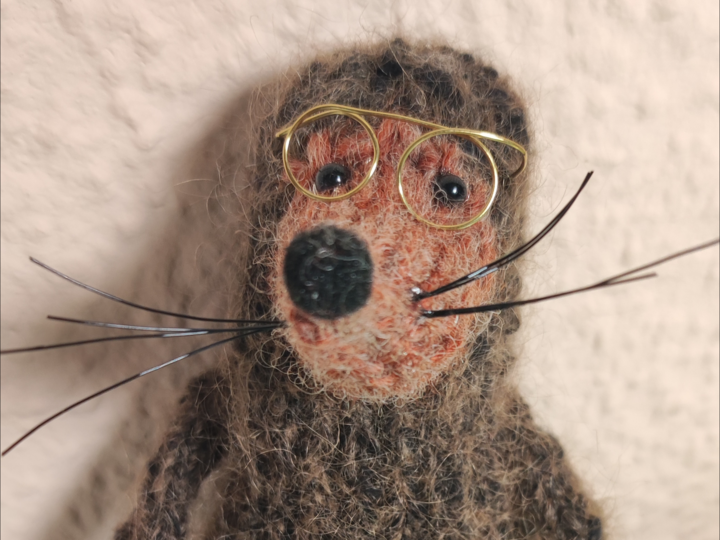 Maulwurf Heinz Strickdatei im PDF Format