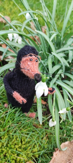 Maulwurf Heinz Strickdatei im PDF Format