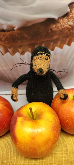 Maulwurf Heinz Strickdatei im PDF Format